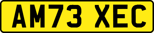 AM73XEC