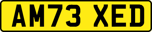 AM73XED