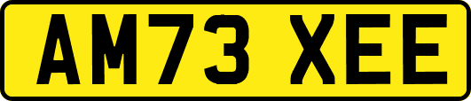 AM73XEE