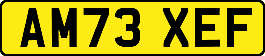 AM73XEF