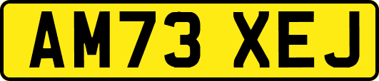 AM73XEJ