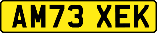 AM73XEK