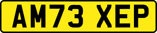 AM73XEP