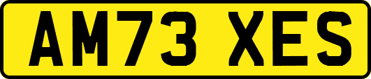AM73XES