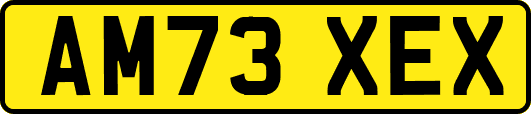 AM73XEX