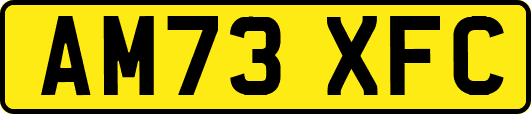 AM73XFC