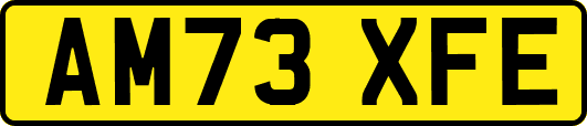 AM73XFE