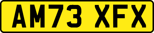 AM73XFX