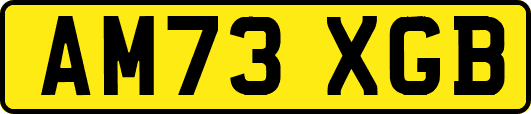 AM73XGB