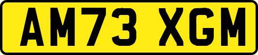 AM73XGM