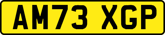 AM73XGP