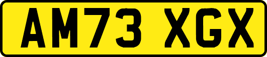 AM73XGX