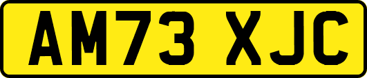AM73XJC