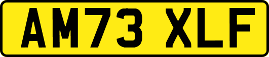 AM73XLF