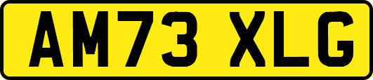 AM73XLG
