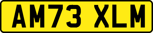 AM73XLM