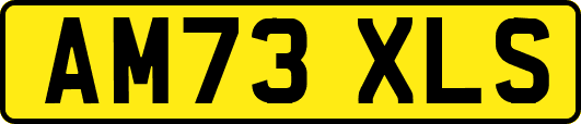 AM73XLS