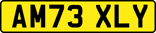 AM73XLY