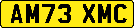 AM73XMC