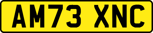 AM73XNC