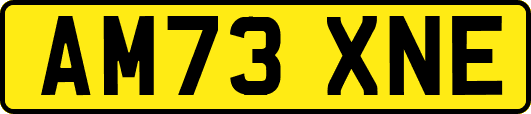 AM73XNE
