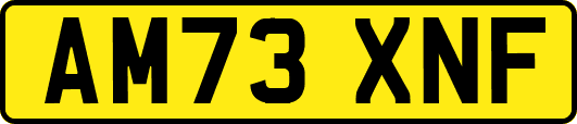 AM73XNF