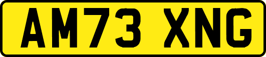 AM73XNG