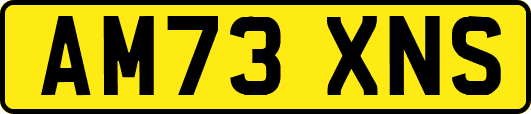 AM73XNS