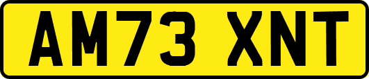 AM73XNT