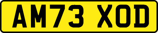 AM73XOD