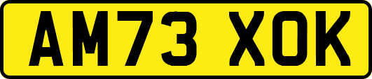 AM73XOK