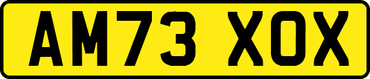 AM73XOX