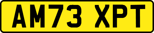 AM73XPT