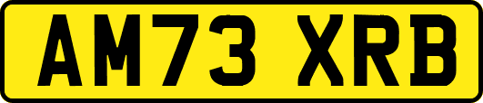 AM73XRB
