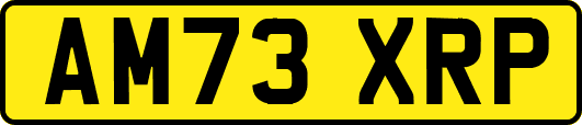 AM73XRP