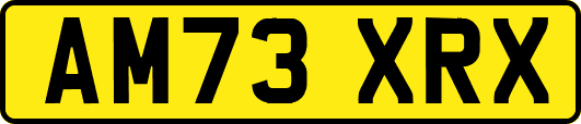 AM73XRX