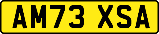 AM73XSA