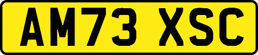 AM73XSC