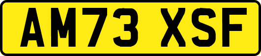 AM73XSF