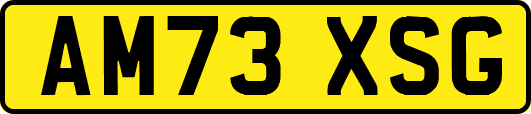 AM73XSG