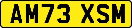 AM73XSM
