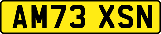 AM73XSN