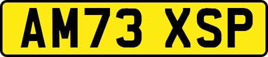 AM73XSP