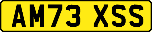 AM73XSS