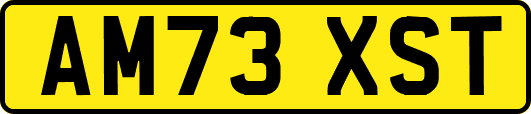 AM73XST