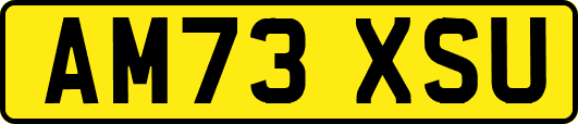 AM73XSU