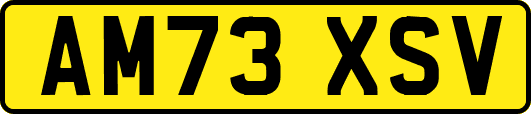 AM73XSV