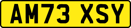 AM73XSY