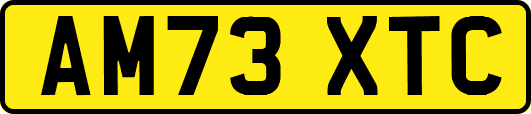 AM73XTC