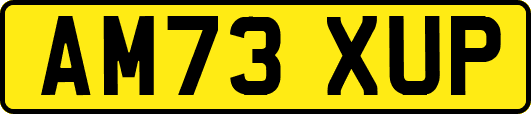 AM73XUP